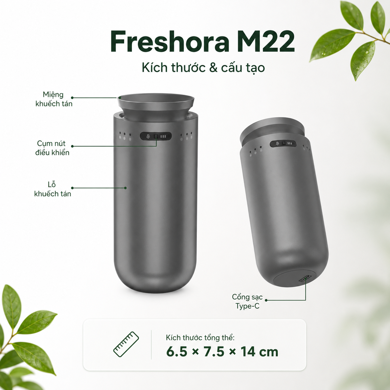 Kích thước và cấu tạo