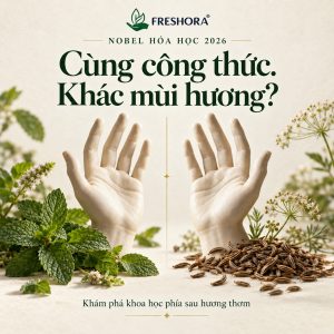 Minh họa Freshora về Nobel Hóa học 2026: hai bàn tay đối ảnh bên lá bạc hà và hạt caraway, với dòng chữ Cùng công thức. Khác mùi hương?
